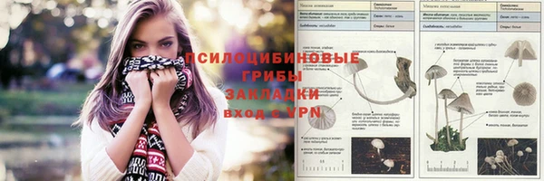 apvp Козловка