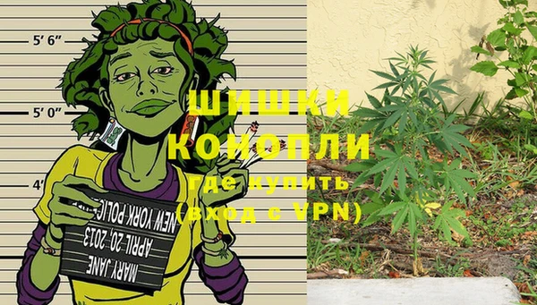 прущие крисы Козельск
