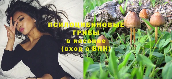 соль ск Кодинск