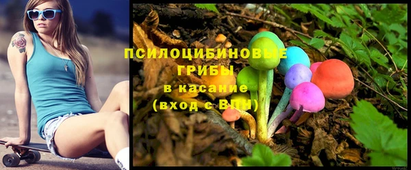 соль ск Кодинск