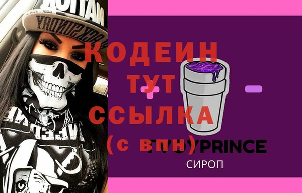соль ск Кодинск