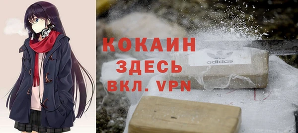 соль ск Кодинск