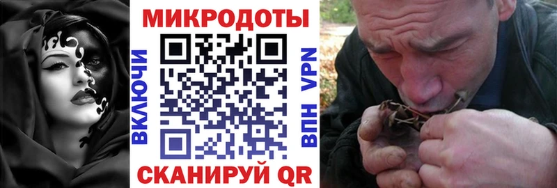 Купить  Велиж  Галлюциногенные грибы Magic Shrooms 